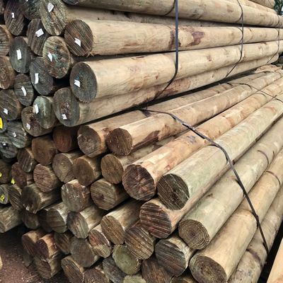 Pine Post 1.8m x 125-150mm RL5