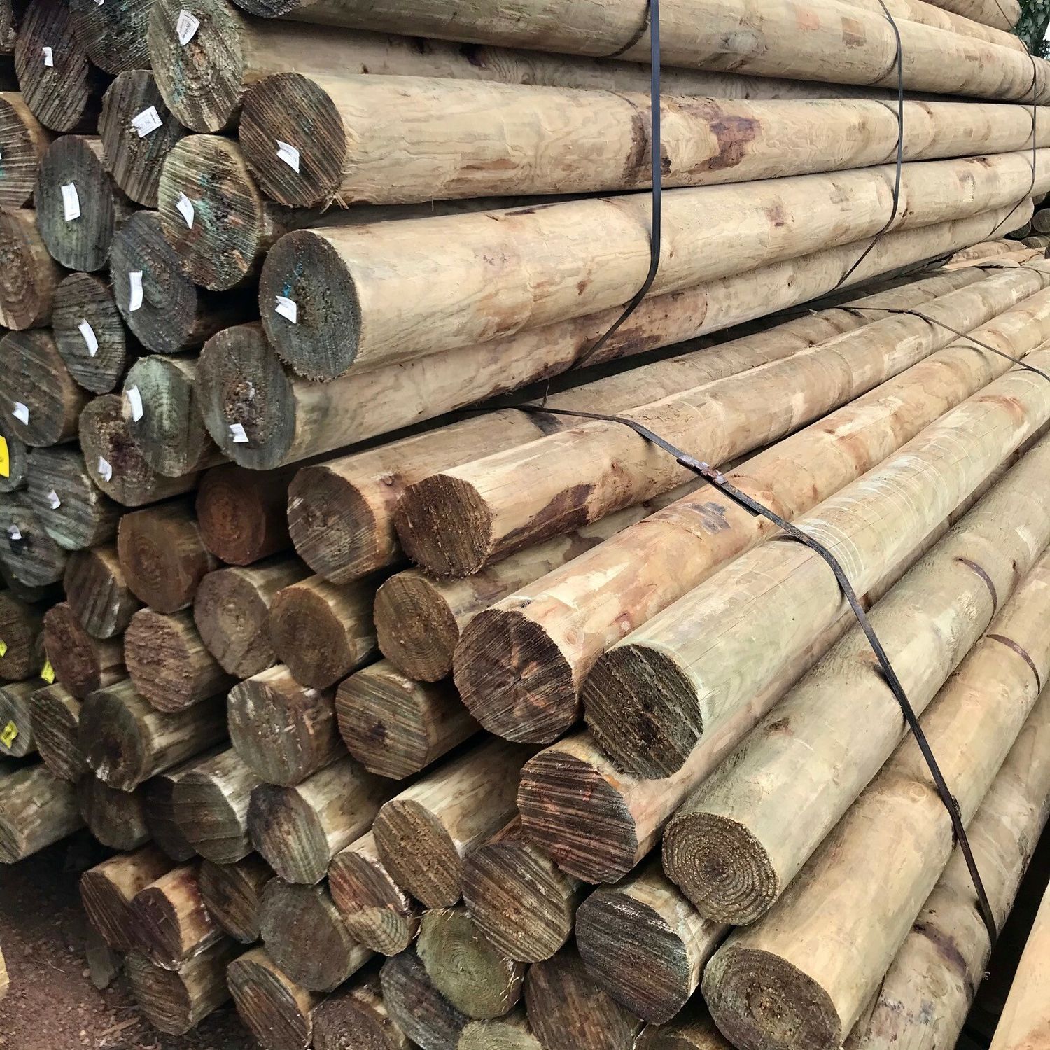 Pine Post 2.4m x 150-175mm RL6