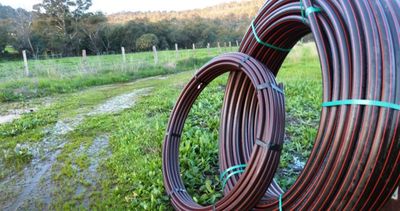 Rural Poly Pipe, 2" (50mm), per metre