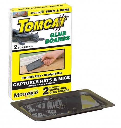 Tomcat Glue Board, 2 pack