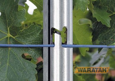 Waratah Gripfast Trellis Post - 240cm