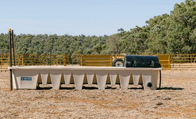 West Coast Poly Rectangular Supa Cattle Trough, 550