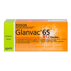 Zoetis GLANVAC® 6SB12, 500ml