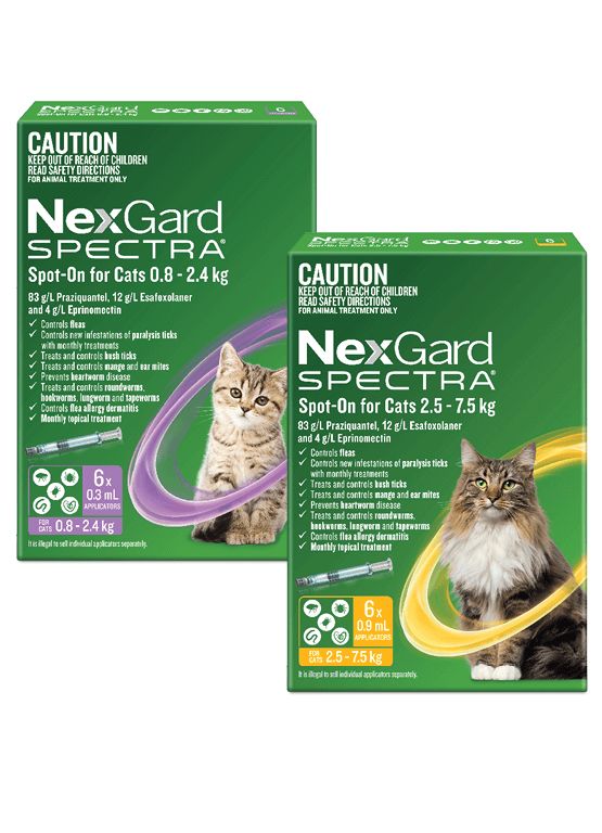 NexGard Spectra, 3 Cat Chewables for Fleas, Ticks