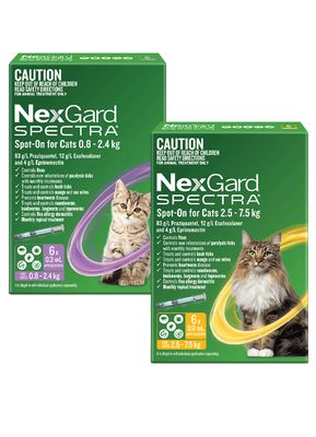 NexGard Spectra, 3 Cat Chewables for Fleas, Ticks