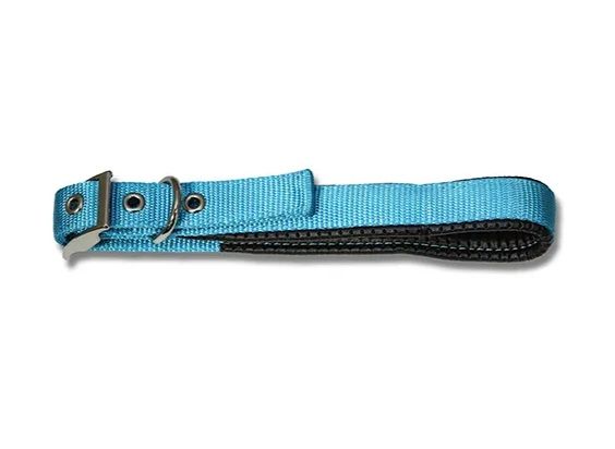 Padded Webbed Dog Collar