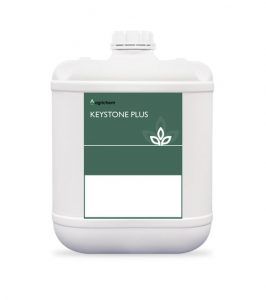 Agrichem Keystone Plus 20L