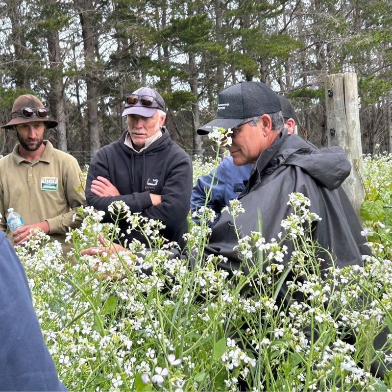 Custom Cover Crop Seed