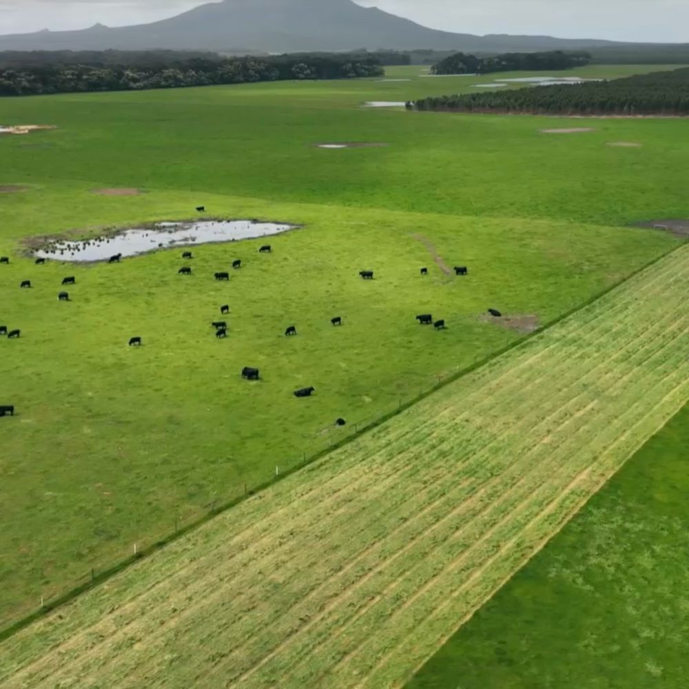 Microbial-Enhanced  Pasture Fertilisers