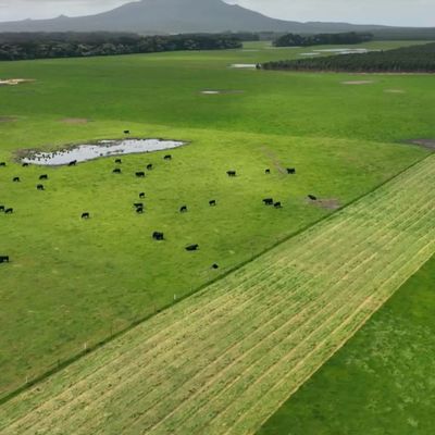 Microbial-Enhanced  Pasture Fertilisers