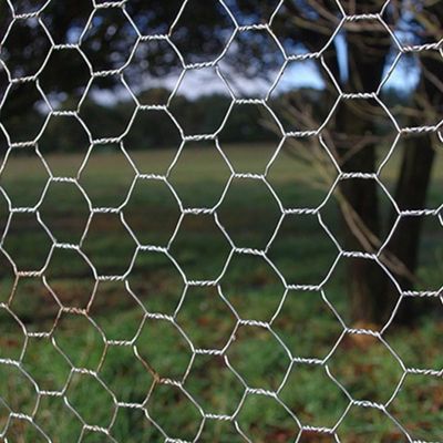 Netting