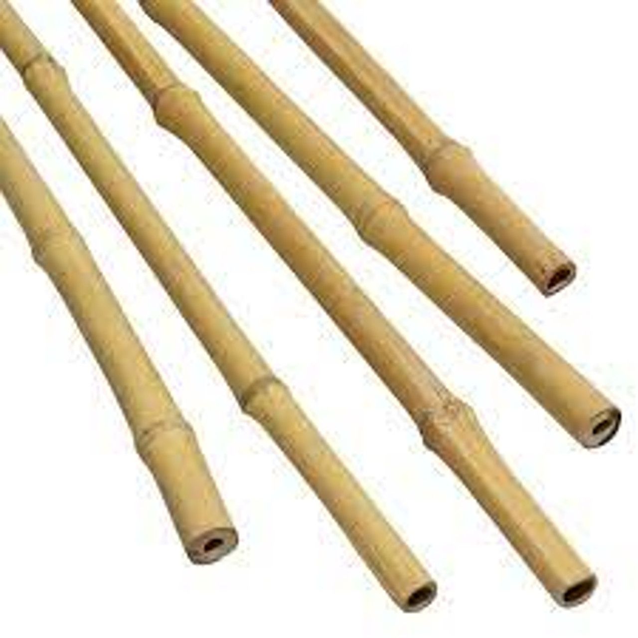 Bamboo Garden Stakes 75cm