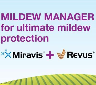 Mildew Manager