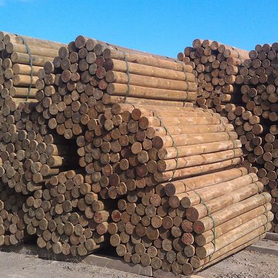 Pine Post 2.1m x 75-95mm