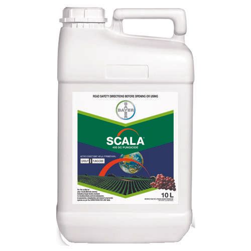 Scala 600 SC Fungicide
