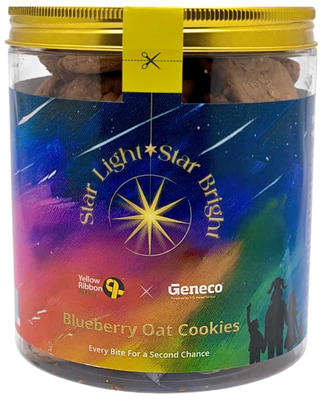 Blueberry Oat Cookies