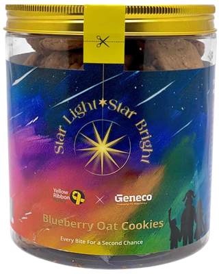 Blueberry Oat Cookies