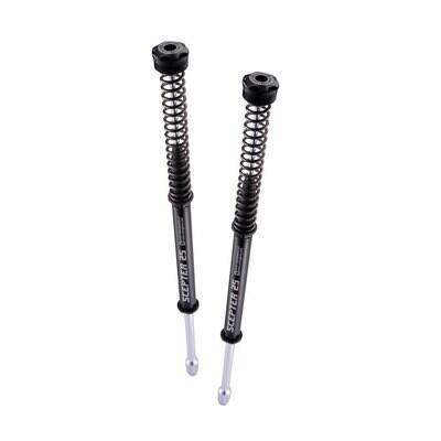 RacingBros Scepter 25 Fork Cartridge Kit 11.5N/mm for 2014-2023 Harley-Davidson Touring
