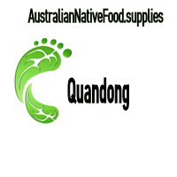 Quandong  500gm Air Dried (includes shipping)