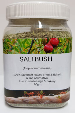 Saltbush 60gm