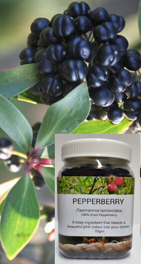 Pepperberry 70gm  (Whole or Ground)