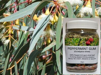 Peppermint Gum Flakes 60gm