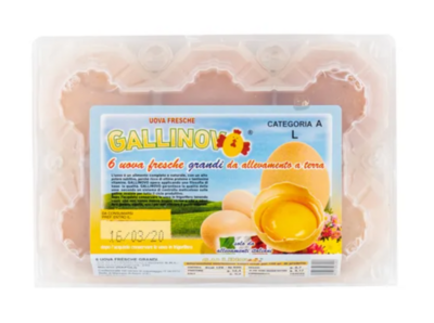 🌼 Gallinovo Uova Fresche X6 L
