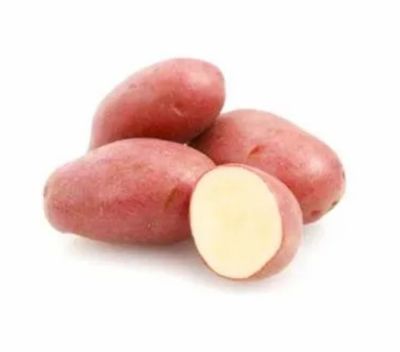 PATATA ROBERTINA ROSSA KG 2