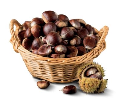 🧡 CASTAGNE FRESCHE  in confezione 1Kg