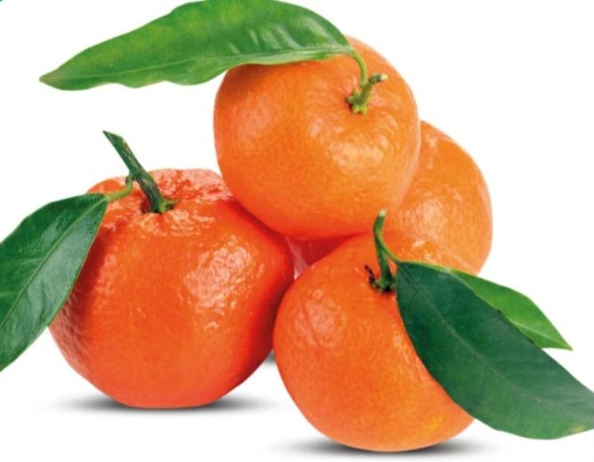 🧡 CLEMENTINE  con foglia 1Kg