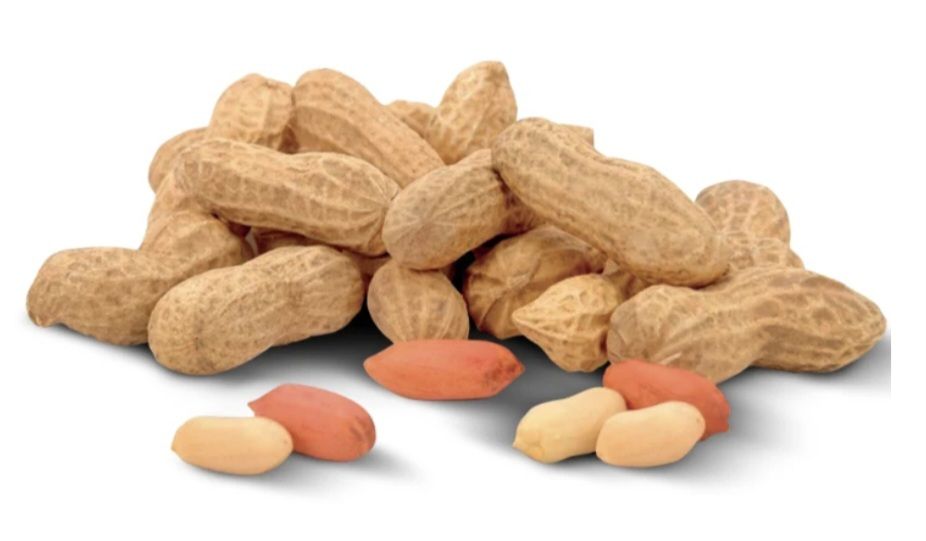 🧡 ARACHIDI TOSTATE  con guscio 1Kg