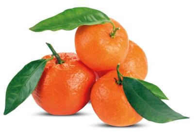 🧡 CLEMENTINE  con foglia 1Kg