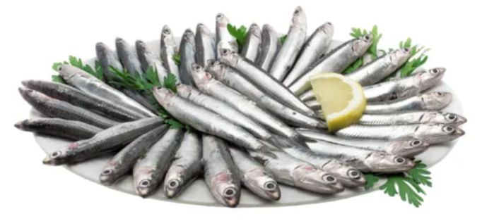 Alici 500g Prodotto fresco