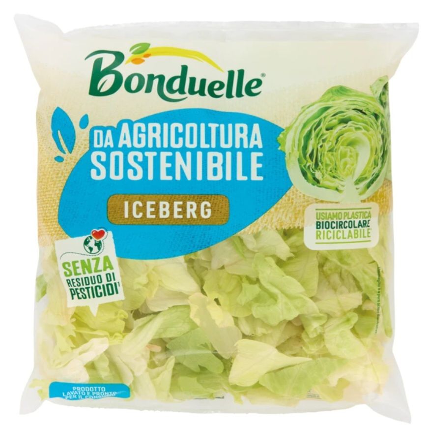 🧡 BONDUELLE  iceberg 200 g
