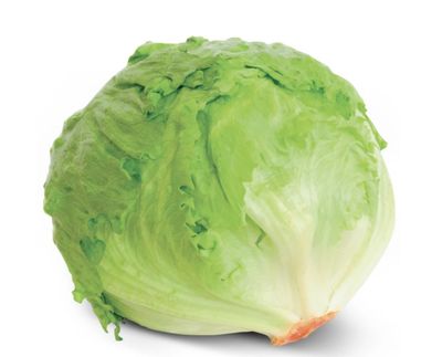 🧡 Insalata Iceberg al Pz
