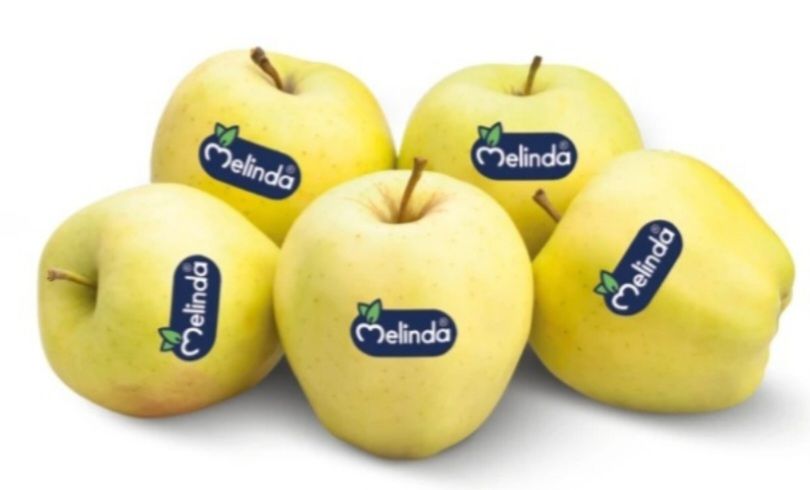 🧡 MELINDA  mele golden dop 1Kg 