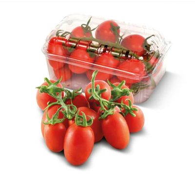🧡 POMODORI Piccadiliy in confezione 500g
