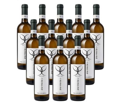 🧡 Falanghina Beneventano igp confezione 12 bottiglie Cantine Carannante 