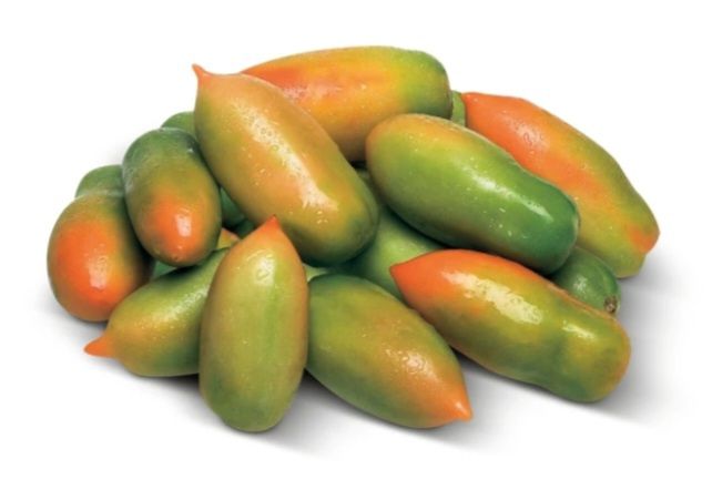 🧡 POMODORO  oblungo verde 1kg