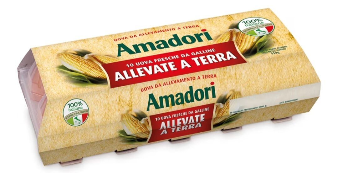 🧡 AMADORI Uova fresche da galline allevate a terra x 10 - 550 g