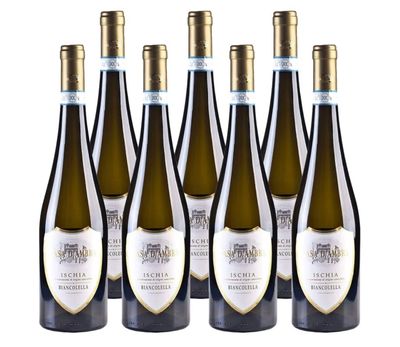 🧡 Vino Bianco Biancolella Doc | Casa d'Ambra | Ischia | Confezione da 6 bottiglie da 75 cl