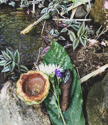 Tabaco & Water Ritual to heal and purify