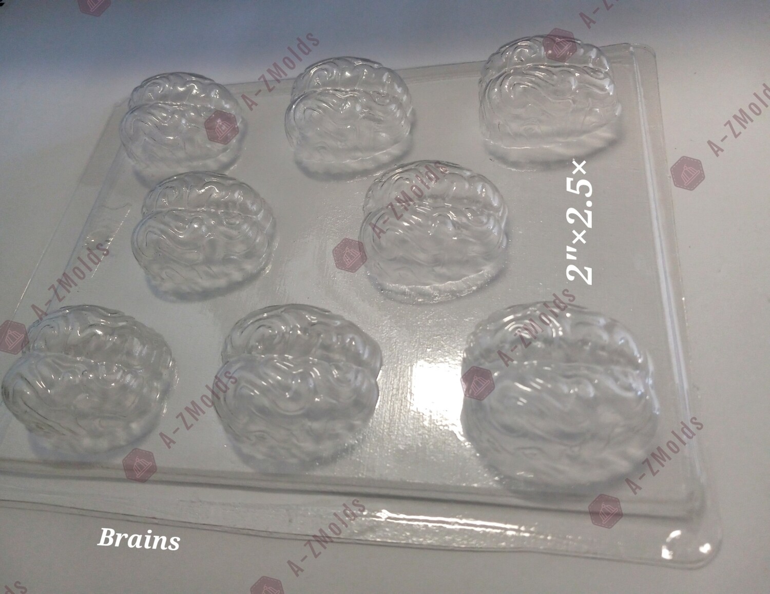 medium brain chocolate mold 