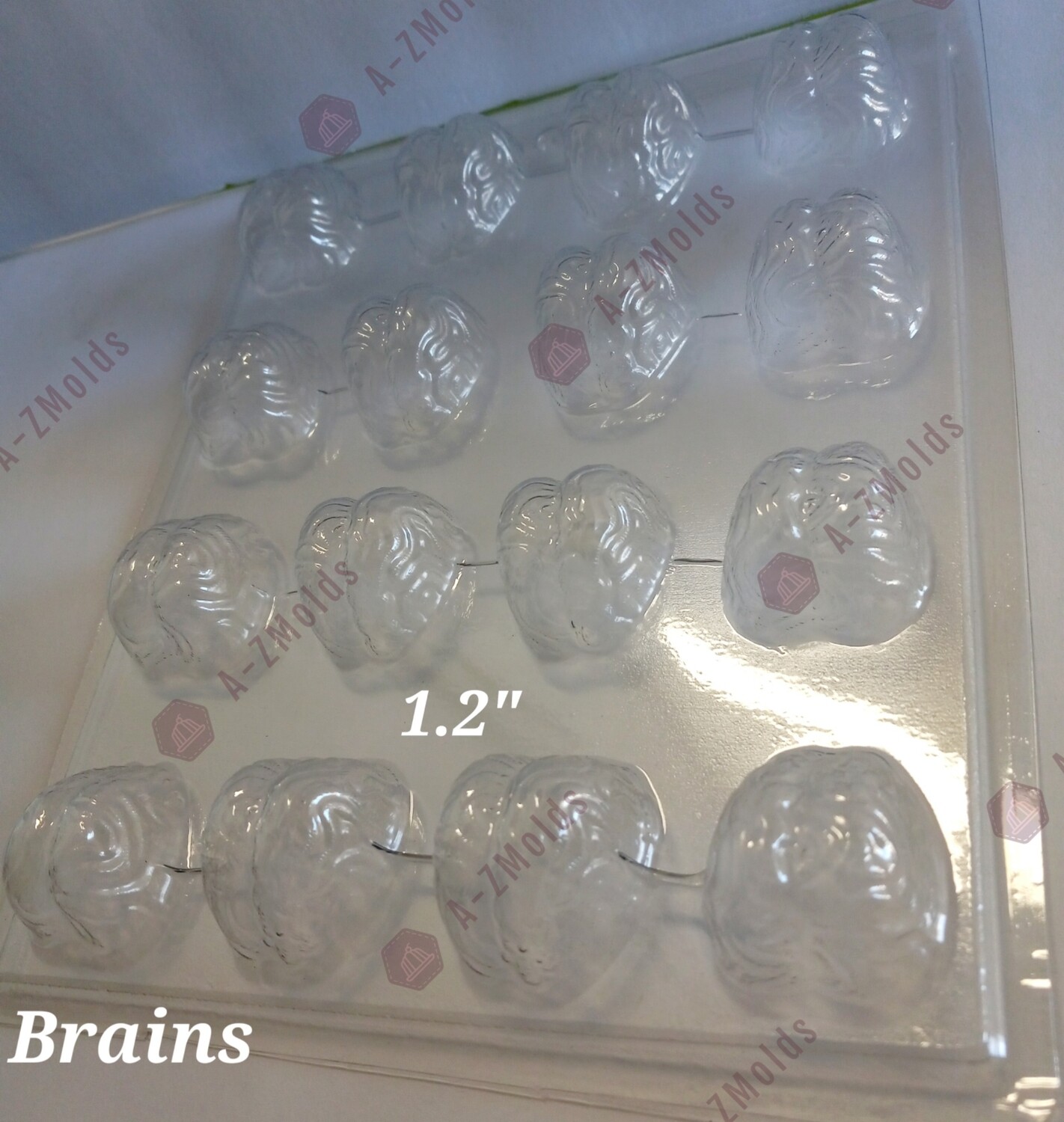tiny brains