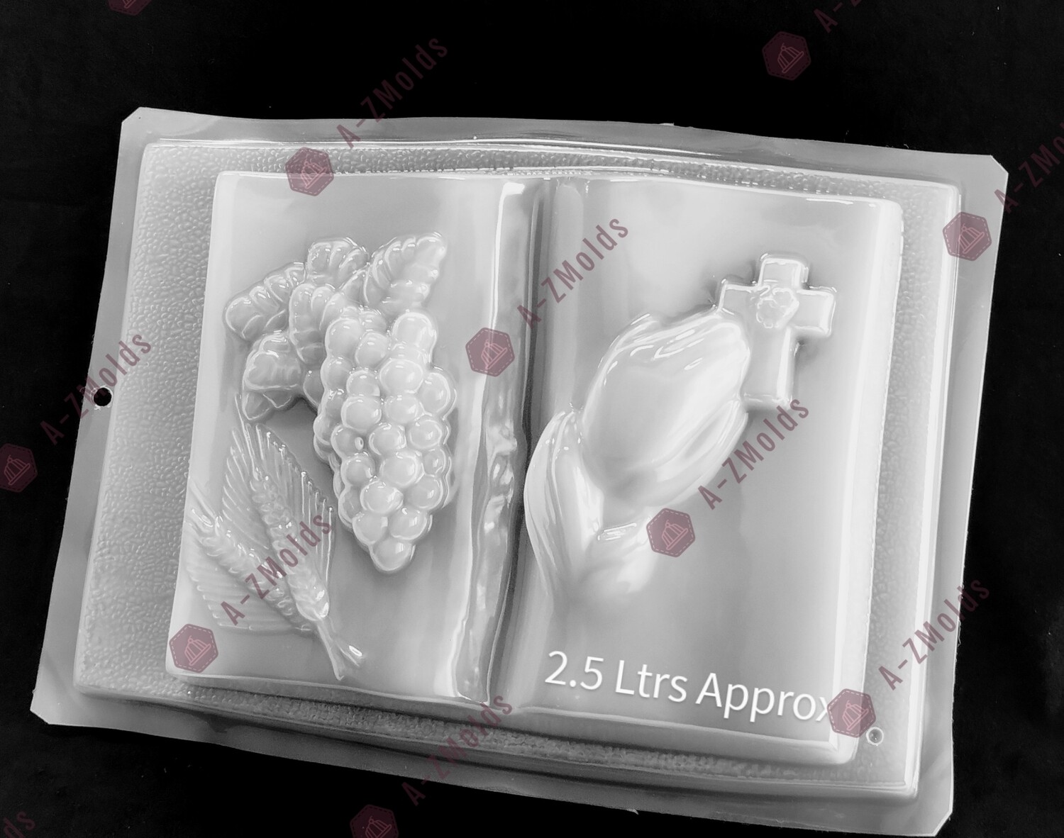 Bible First communion