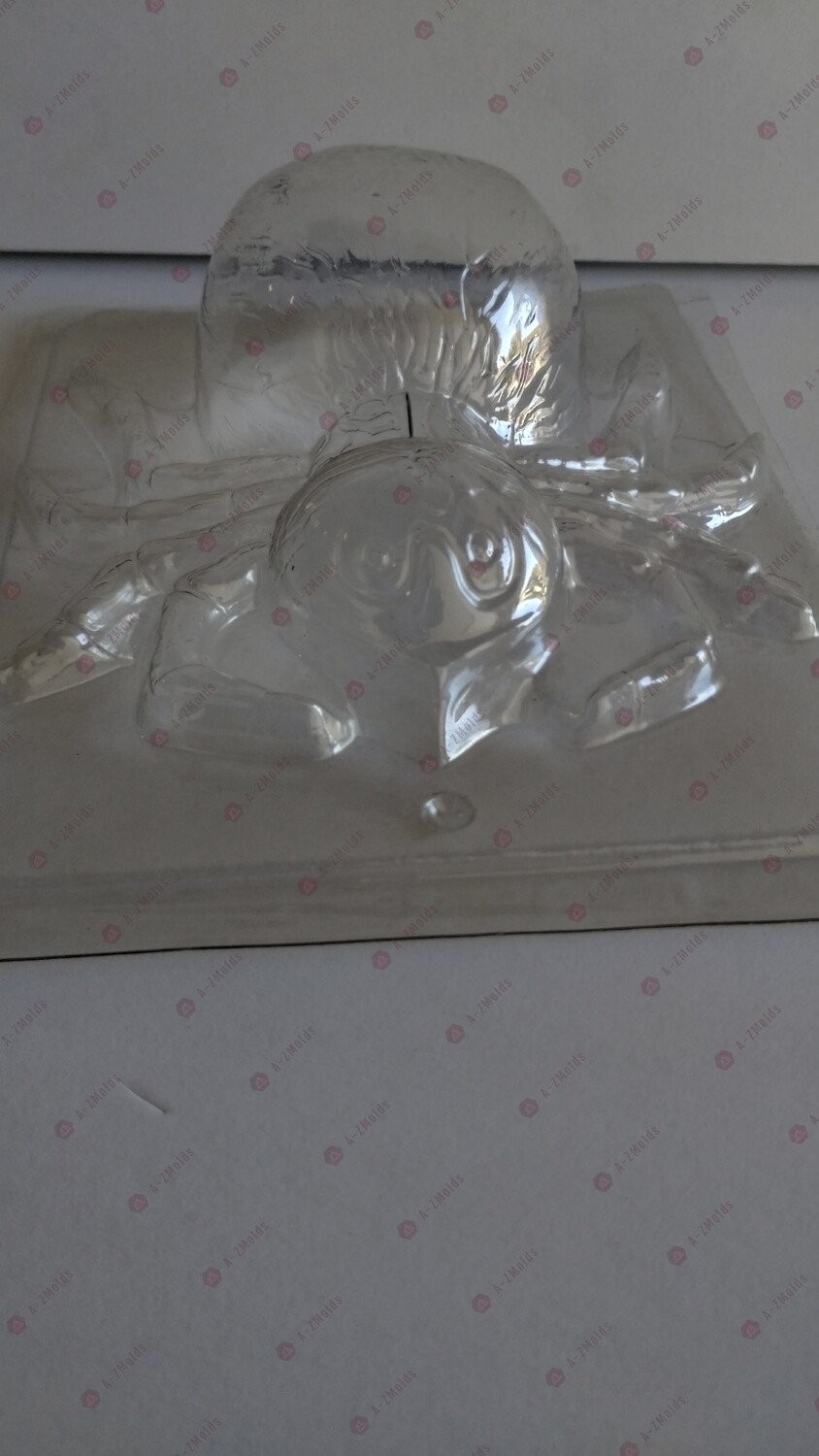 Big Spider Mold