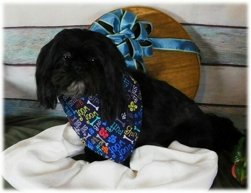 Heritage Doggie Bandana