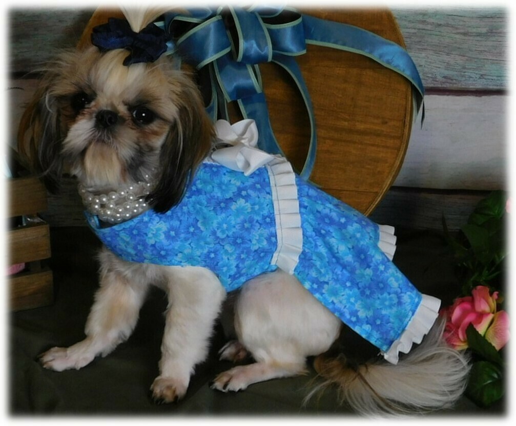 Cameron Doggie Dress