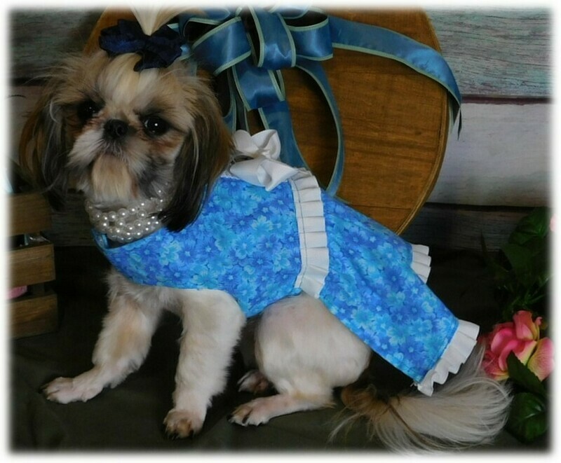 Cameron Doggie Dress