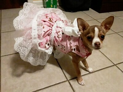 Extra Fancy Pink Doggie Dress